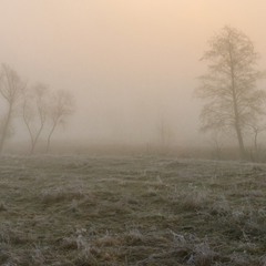 Весняний туман