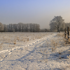 Зимова панорамка