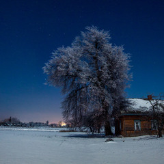 Зимовий вечір в рідному селі