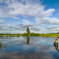Озерце Курятник