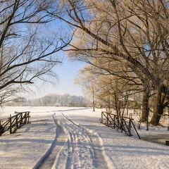 Зимовим днем гуляючи селом...