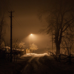 Прогулянки в тумані