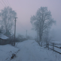 Туманний ранок січня 2