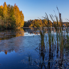 Осінь на озері в урочищі Ронгова