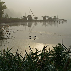 Туман ранкового озера