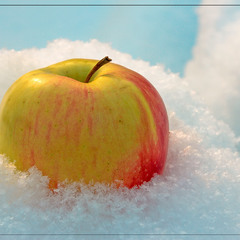 Яблоко на снегу...