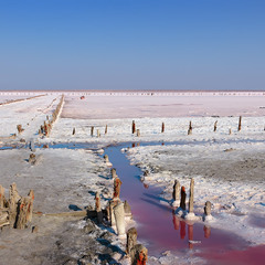 Соль Розового озера