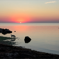Рассвет на Азовском море в городе Геническ