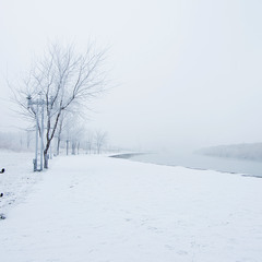 Белый туман