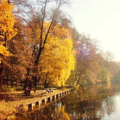 Осень близ озера