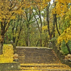 Осінні сходи