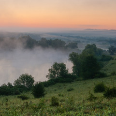 Misty morning on the pond