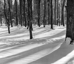 ... ще трішки зими...