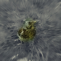 ... експеримент...