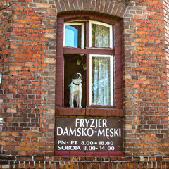 ... адміністратор барбершопу...