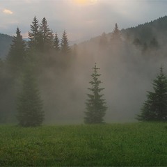 Пейзаж с туманом