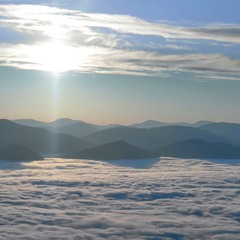 У Белой реки