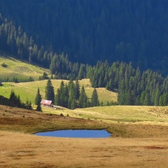 Райський куточок