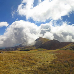 Гори - моя любов