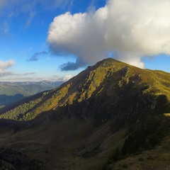 Михайлик зі схилу Фаркеу. Румунія.