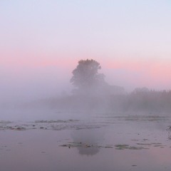 Туманный рассвет