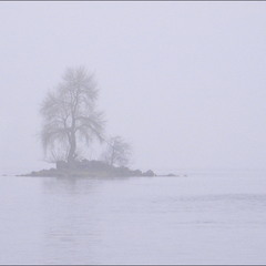 Туманный минимализм