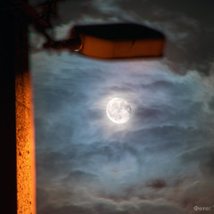 «Місячний світанок»