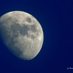 Місячна краса