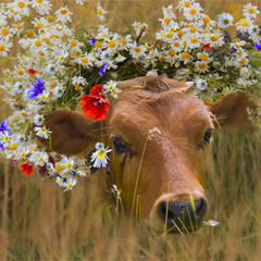 ревушка - коровушка