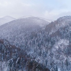 в урочищі Золотий Потік
