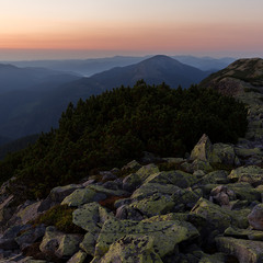 ранкові сутінки на хребті гори Довбушанка