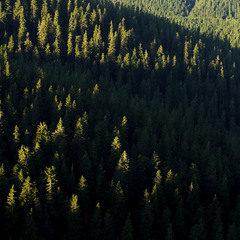 ...про дотик...