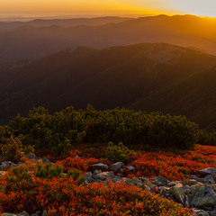 світла всім у цей темний важкий ранок