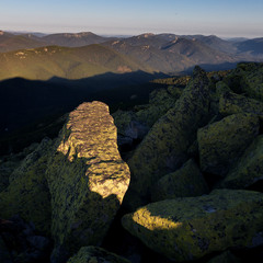 коли світанок і настала 43 осінь