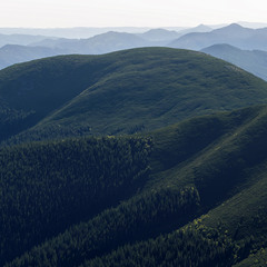 Центральні Ґорґани, гора Неґрова