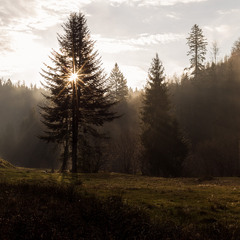 Українські Бескиди