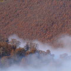 Боржавські тумани