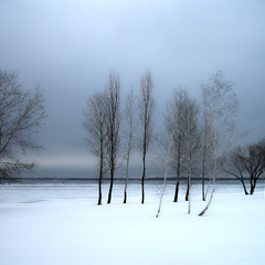 Зимний пейзаж.