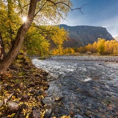 Осенние краски реки Чулышман