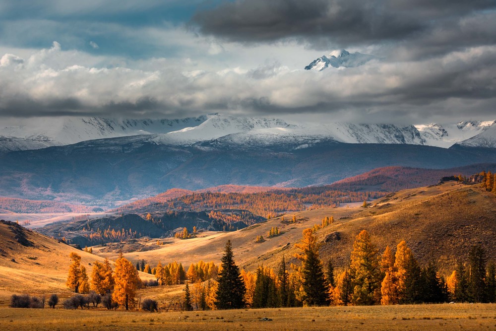 Пейзажи Алтая