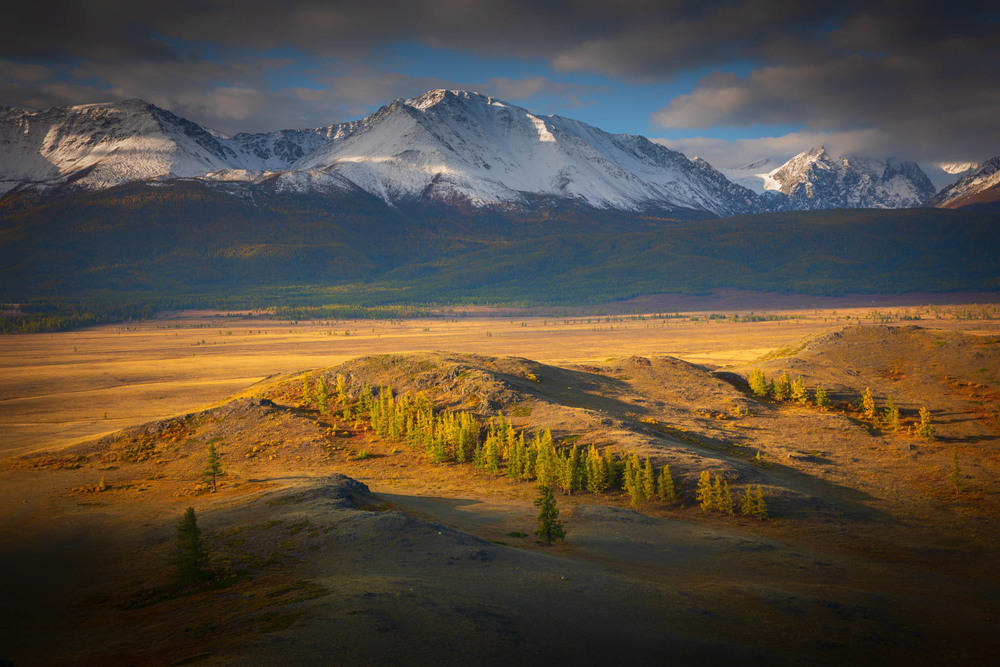 Курайская степь горный алтай фото