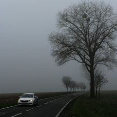 По дорозі, скрізь туман