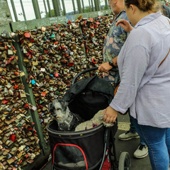 На мосту через Рейн