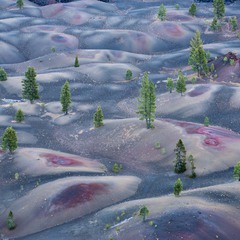 painted dunes