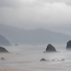 Дождь и туман на берегу океана