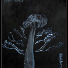 A Smoke Tree and New Life...