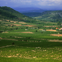 Виноградна долина