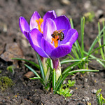 Березневі клопоти