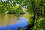 Пейзажі старовинного парку графа М. Огинського в м. Плунге Литва