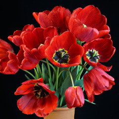 Квіти весняні- ніжні тюльпани серце дівоче забрали в полон...